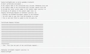 godaddy cli router